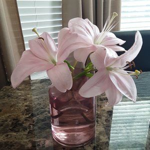 Meet your Posher, AKAMOM704!